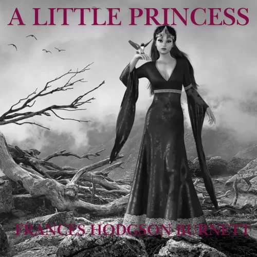 A LITTLE PRINCESS