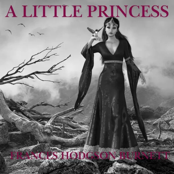A LITTLE PRINCESS